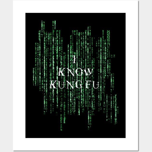 I know kung fu - Matrix Wall Art by Finito_Briganti